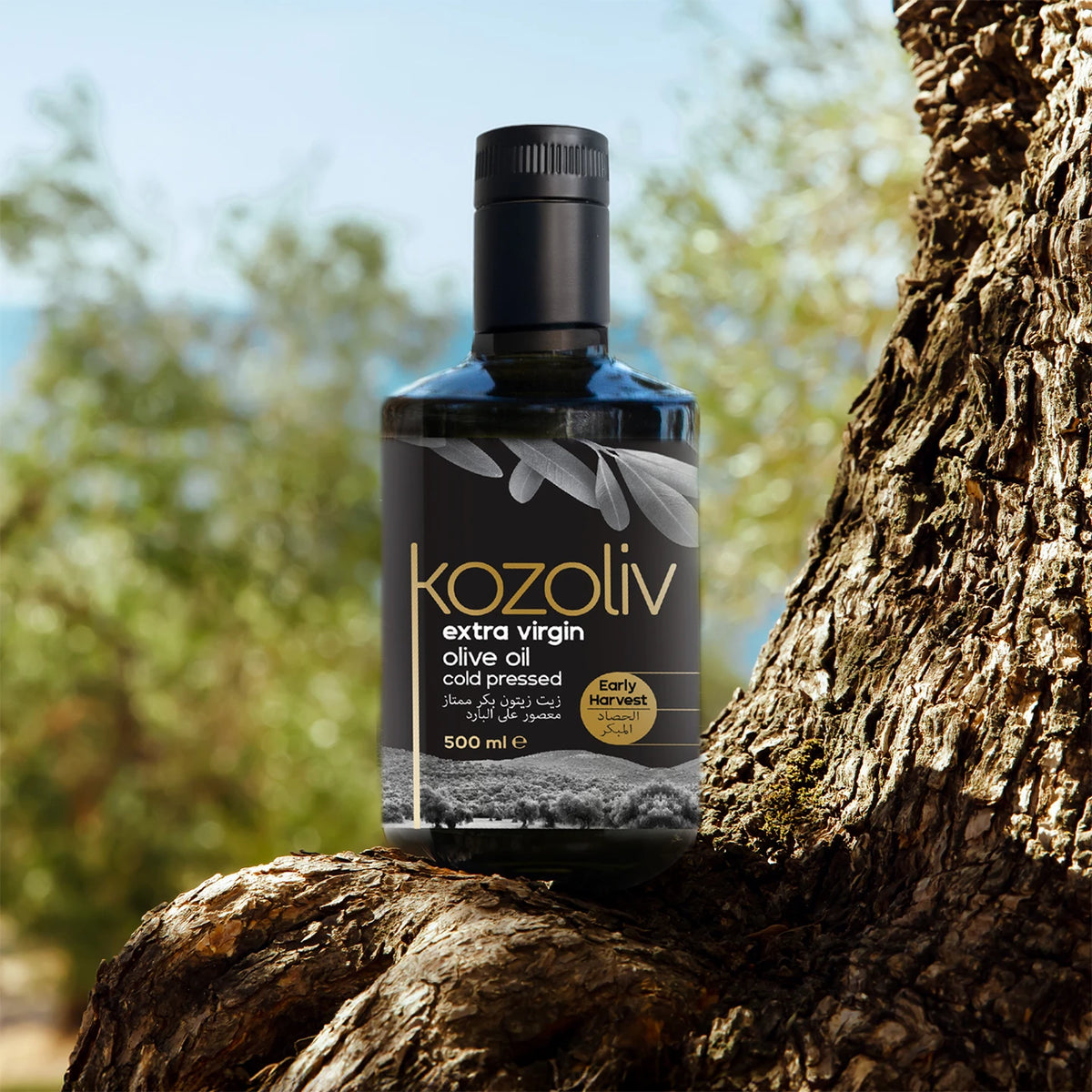 Kozoliv Early Harvest Extra Virgin Premium Turkish Ayvalik Olive Oil 5 kozoliv-early-harvest-extra-virgin-premium-turkish-ayvalik-olive-oil-5